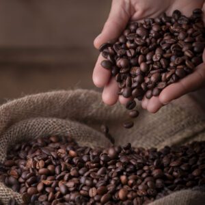 A person holding coffee beans in their hands.